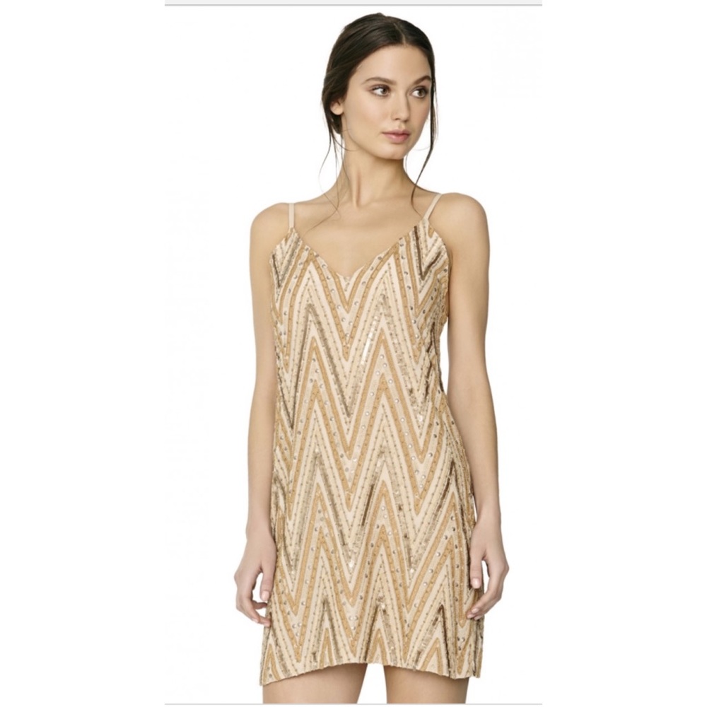 Alice + Olivia Avalon slip dress